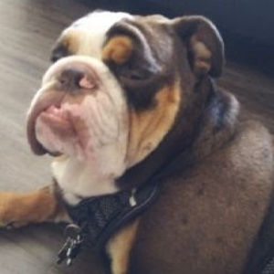 Meet your Posher, Judyth